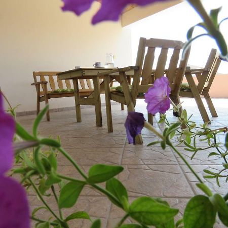 Guesthouse Dila Galovac  外观 照片